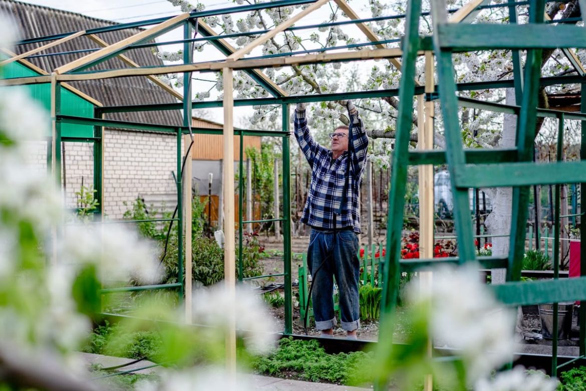 Aménager un jardin accueillant : structures et supports